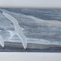 Two Terns flying, Size 58 x 18cm, on recycled fence panel. panel, seen  whilst walking on a Scottish beach