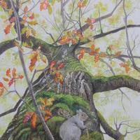 Escape To The Tree Tops    Coloured Pencil Painting