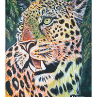Multi colour leopard 