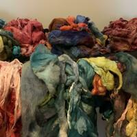 Hand dyeing fleece in an array of colours all ready to be handspun