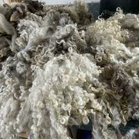 Fleece from our sheep, all ready to be worked on