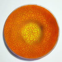 ‘Lava Flow’ / Kiln-fused Crackle-glass bowl 