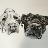 Charcoal dog commission 