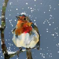 Everyone loves a winter robin