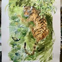 Tiger & Jacana - watercolour.