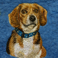 Dog portrait embroidery