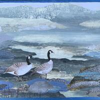 A2 Collage, Two Canada geese, Northumberland