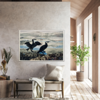 Collage, A3 Cormorants in Situ