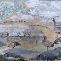 A2  Whitefronted Geese, chosen for leamington Open