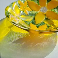 Medium yellow flower bowl and refelction