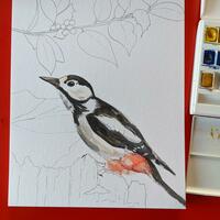 Great Spotted Woodpecker, 2022