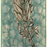 Dendrobium | Mokulito & Linocut | 3/5 Variable Edition | 2022.  © Hayley Burgess 2023
