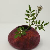 A selection of hand felted woolly pots are available. Please contact me for details of colours and prices.