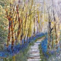 Bluebell Wood Wooton Wawen - as triptych or original