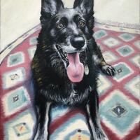 Dog portrait, oil on canvas