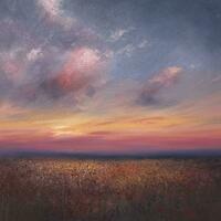 Sunset over cotswold cornfield, Oil on paper