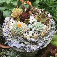 Garden Ceramics
