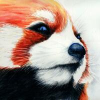 Red Panda - Watercolour painting