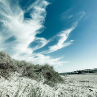 Dunes At Instow 1