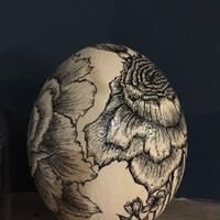 Hand drawn ostrich egg