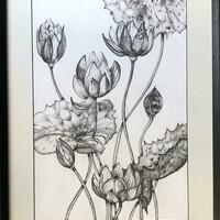 Lotus flowers in ink 