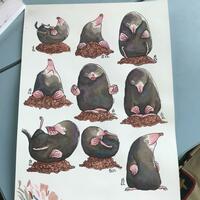 Mindful Mole Character Illustrations 