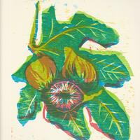 Figs (woodcut 2022)