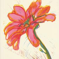 Bent Flower 3: Pink Chrysanthemum (linocut 2022)