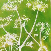 Cow parsley - lino print