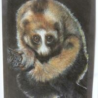 The Slow Loris,  such a shy, gentle soul, waking up to take advantage of the night.    7 x 9 ins.,  in Pastel.            £150.