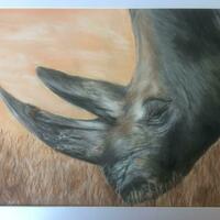 A browsing Rhino, one of the very few humans have allowed to live ,so far.....        Soft pastel and pastel pencils on Pastelmat    11 x 8 ins.,         £240.
