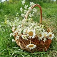 Frame basket with flowers. A heritage craft and timeless activity.