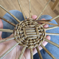 Basketry beginnings for a stake and strand basket. Willow by Christina.