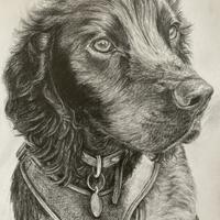Remy - Graphite on paper