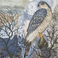 A4 Bird- Sparrowhawk Collage and mixed media