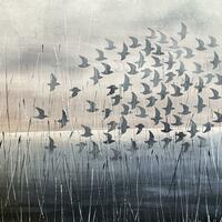 Birds in Dusk Flight, acrylic on canvas 60 x 80cm