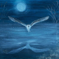 owl moonlight mist