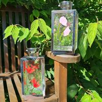 Two fused glass lanterns showing pink and red flower shapes held in chrome lantern. 