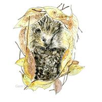 Ready for hibernation, September 2023, Watercolour and Fine Liner, Gemma Whitford