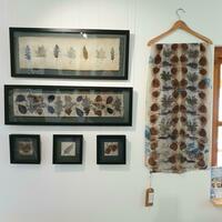 Eco dyed fabrics and framed pieces