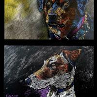  Pet commissions. Fergus and Buster, what’s not to love? ❤️  Mixed media, oil and ink.