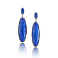 Silver and transparent enamel earrings