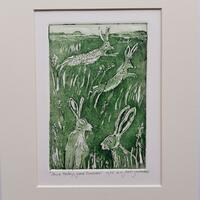 Hares in a green field