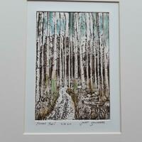 Sunlit path through a forest