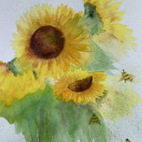 'Sunflowers & Bees' 