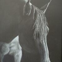 'The Grey' - horse