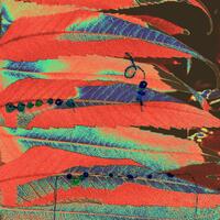 Digital photograph.  Mixed media - abstract image of Rhus leaves, embroidery thread and beads. 