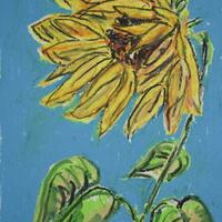 Sunflower Study 2 - Oil pastel on paper