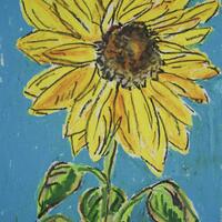 Sunflower Study 1 - Oil Pastel on paper