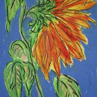 Sunflower Study 3 - Oil pastel on paper